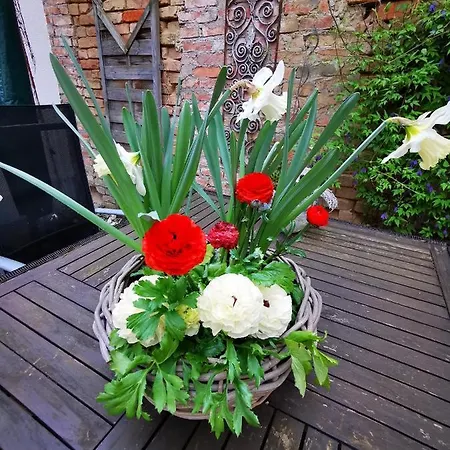 No. 12 Guest house 3*